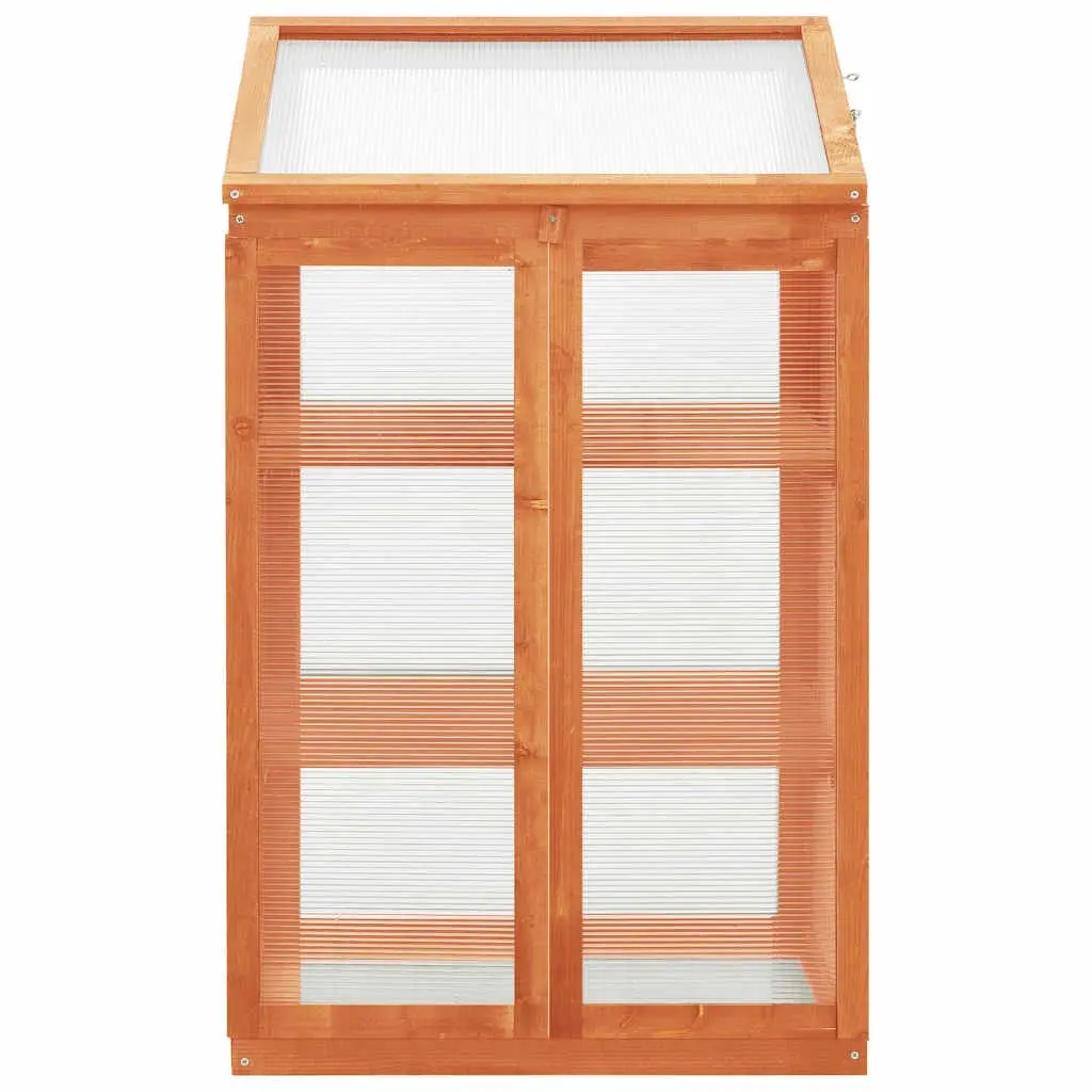 Wooden Greenhouse 60x45x100 cm Garden Plant Shelter Herbs Flowers Storage