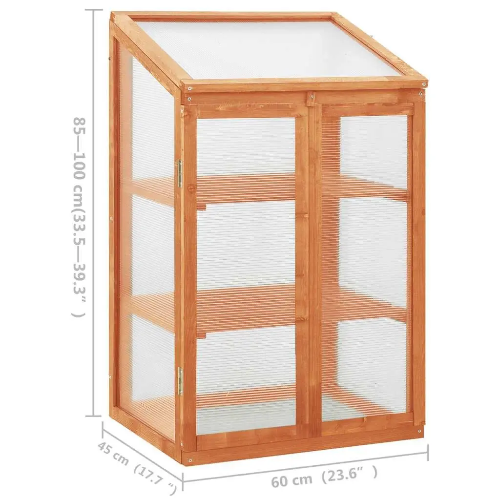 Wooden Greenhouse 60x45x100 cm Garden Plant Shelter Herbs Flowers Storage