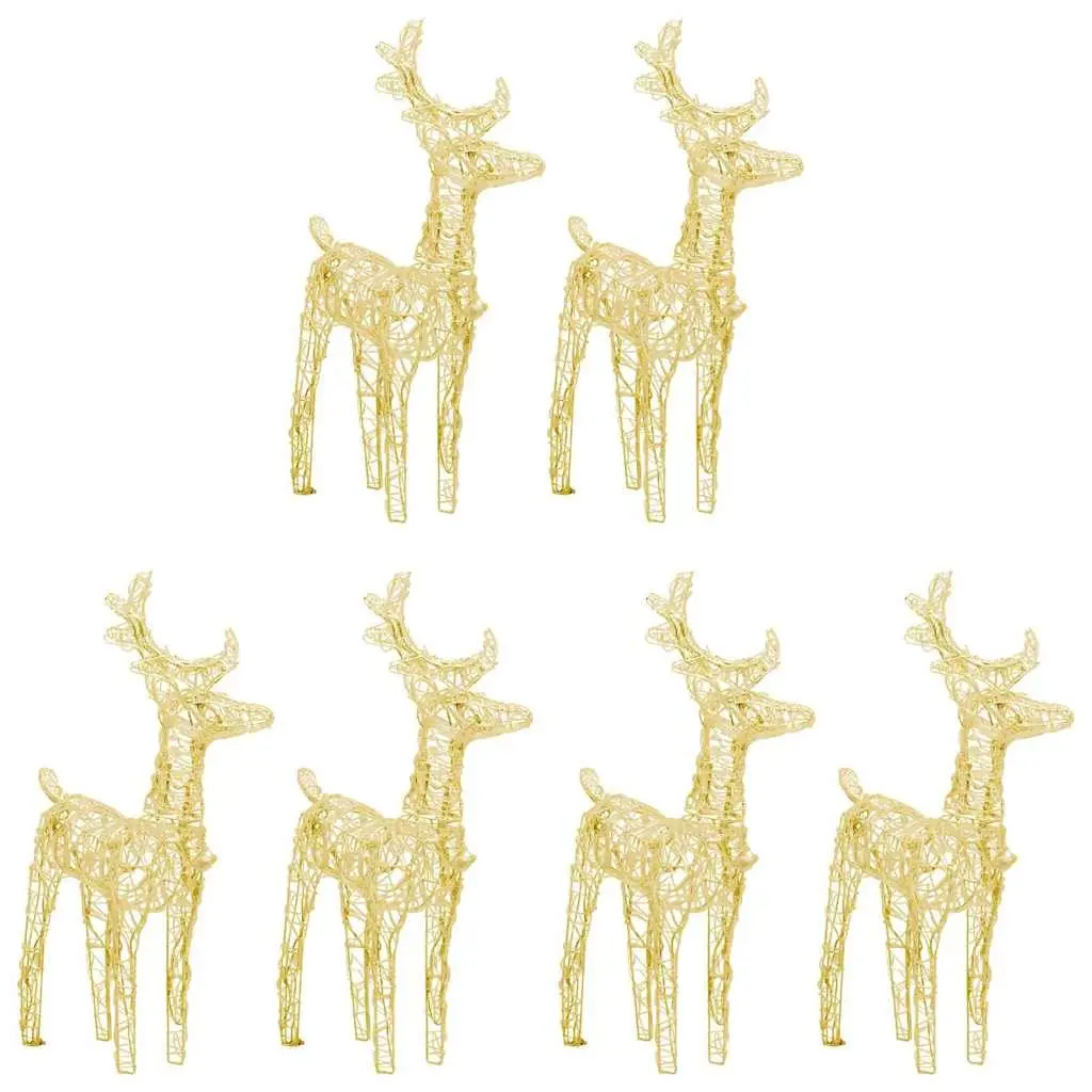 Christmas Reindeer Lights Warm White 6 Piece Set Acrylic Outdoor LED Lighting