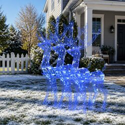 3 Acrylic Reindeer Decorations