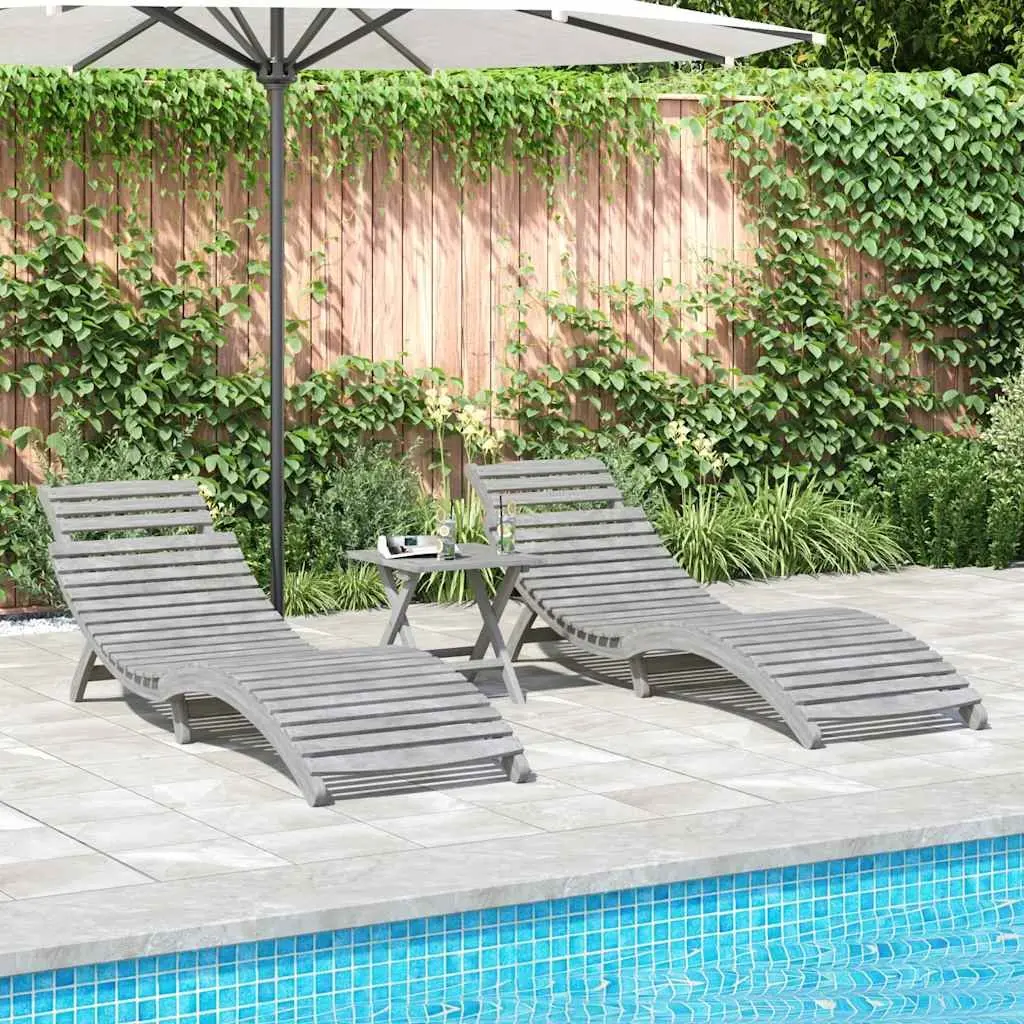 Sun Loungers Grey Foldable Ergonomic Outdoor Furniture 2 Piece