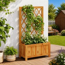 Raised Garden Bed with Trellis for Climbing Plants