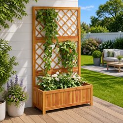 Raised Garden Bed with Trellis