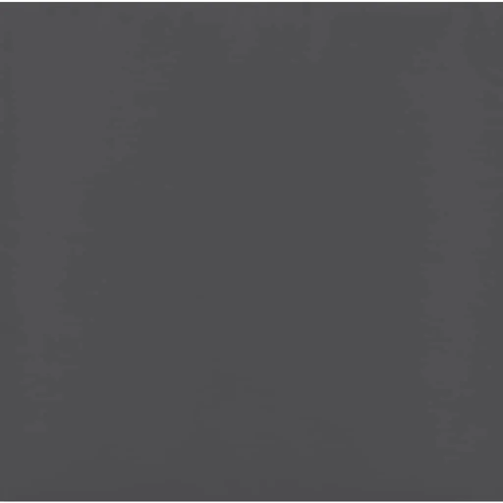 Outdoor Lounge Set Anthracite 10 Piece Modular Poly Rattan Sofa with Cushions