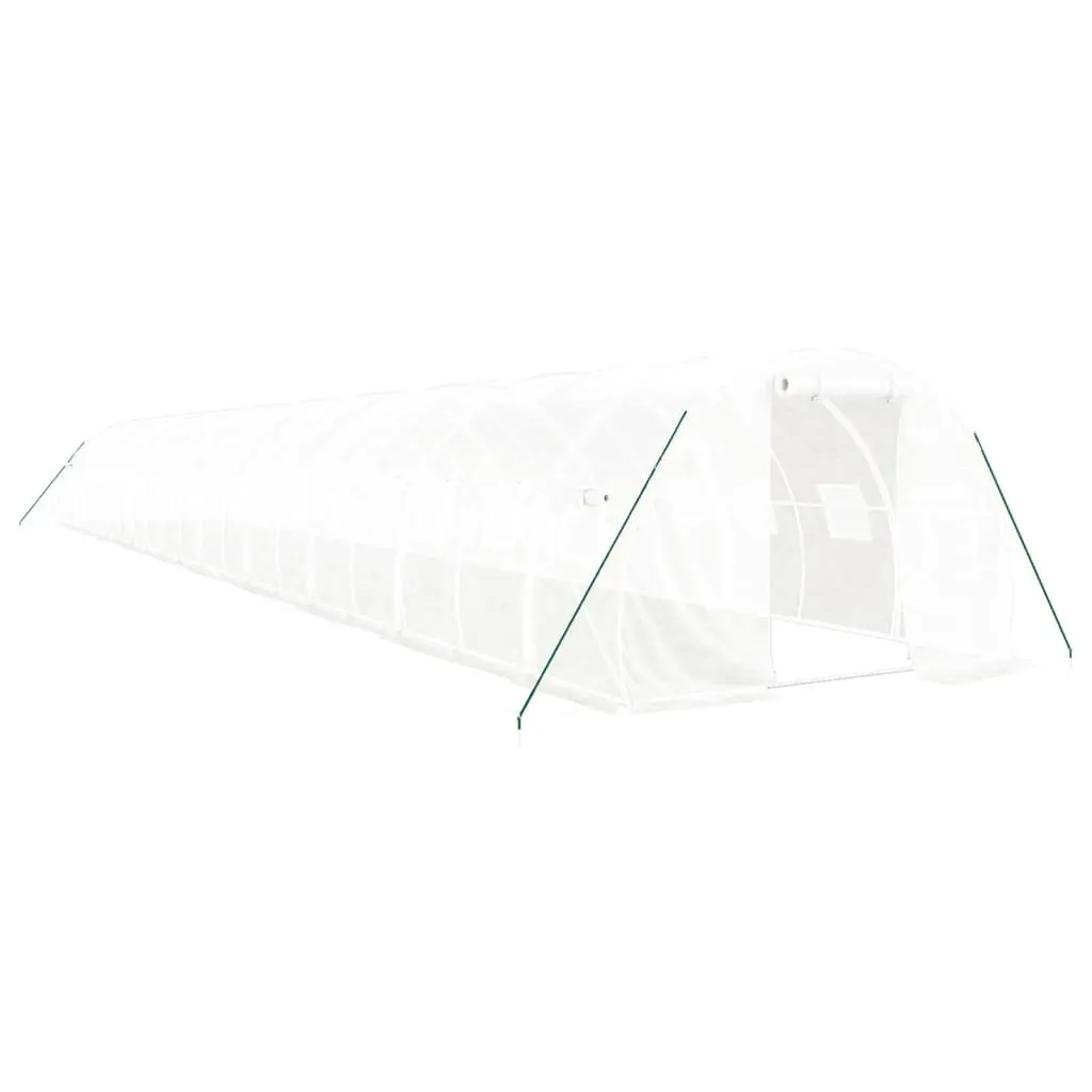 Greenhouse White 20x3x2m PE Cover Steel Frame Outdoor Plant House