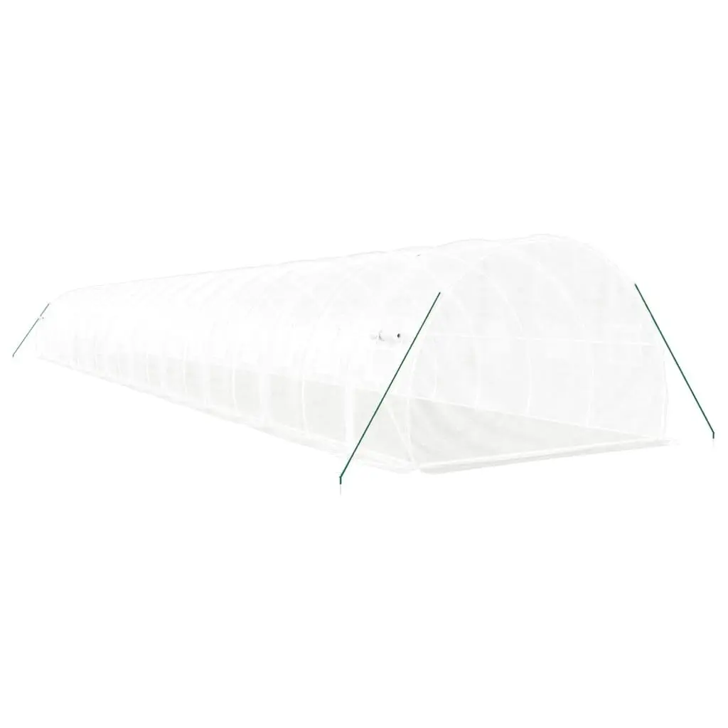 Greenhouse White 20x3x2m PE Cover Steel Frame Outdoor Plant House