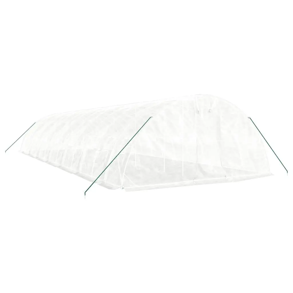 Greenhouse White 14x5x2.3m PE Cover Steel Frame Roll-up Door