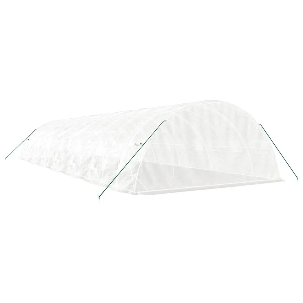 Greenhouse White 14x5x2.3m PE Cover Steel Frame Roll-up Door