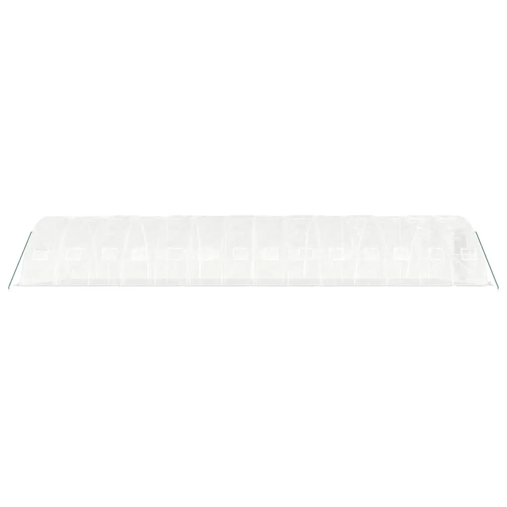 Greenhouse White 14x5x2.3m PE Cover Steel Frame Roll-up Door