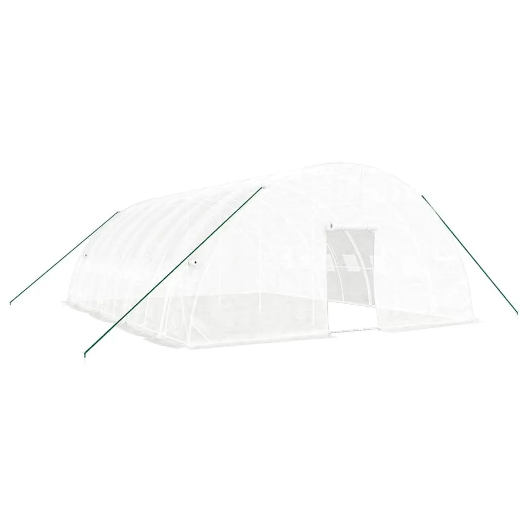 Greenhouse White 8x6x2.85m Steel Frame Outdoor Plant House 48m² with PE Cover and Roll-Up Door