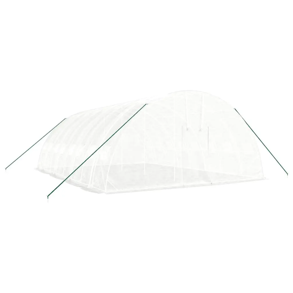 Greenhouse White 8x6x2.85m Steel Frame Outdoor Plant House 48m² with PE Cover and Roll-Up Door