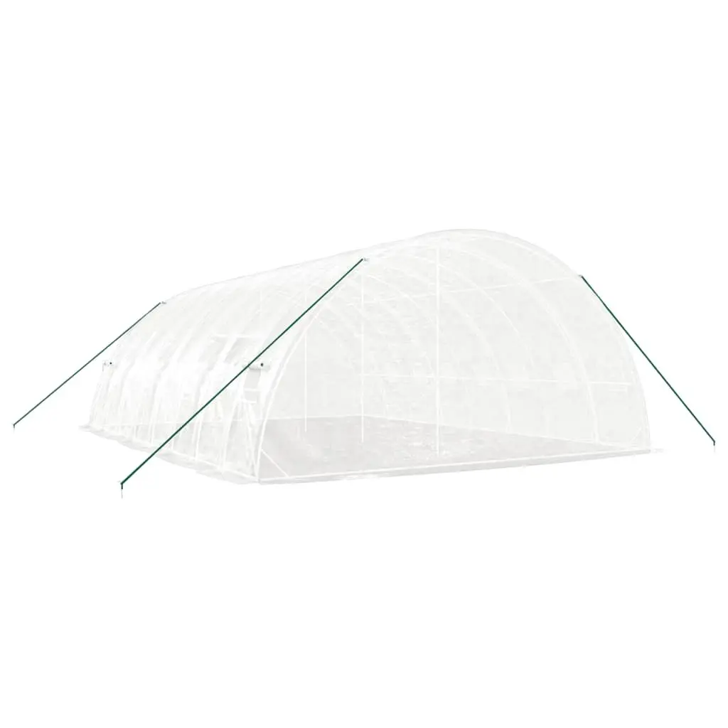 Greenhouse White 8x6x2.85m Steel Frame Outdoor Plant House 48m² with PE Cover and Roll-Up Door
