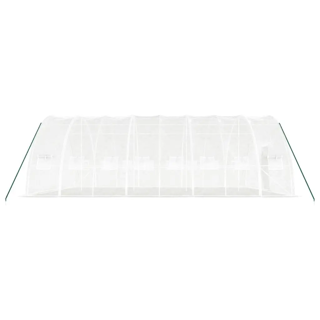 Greenhouse White 8x6x2.85m Steel Frame Outdoor Plant House 48m² with PE Cover and Roll-Up Door