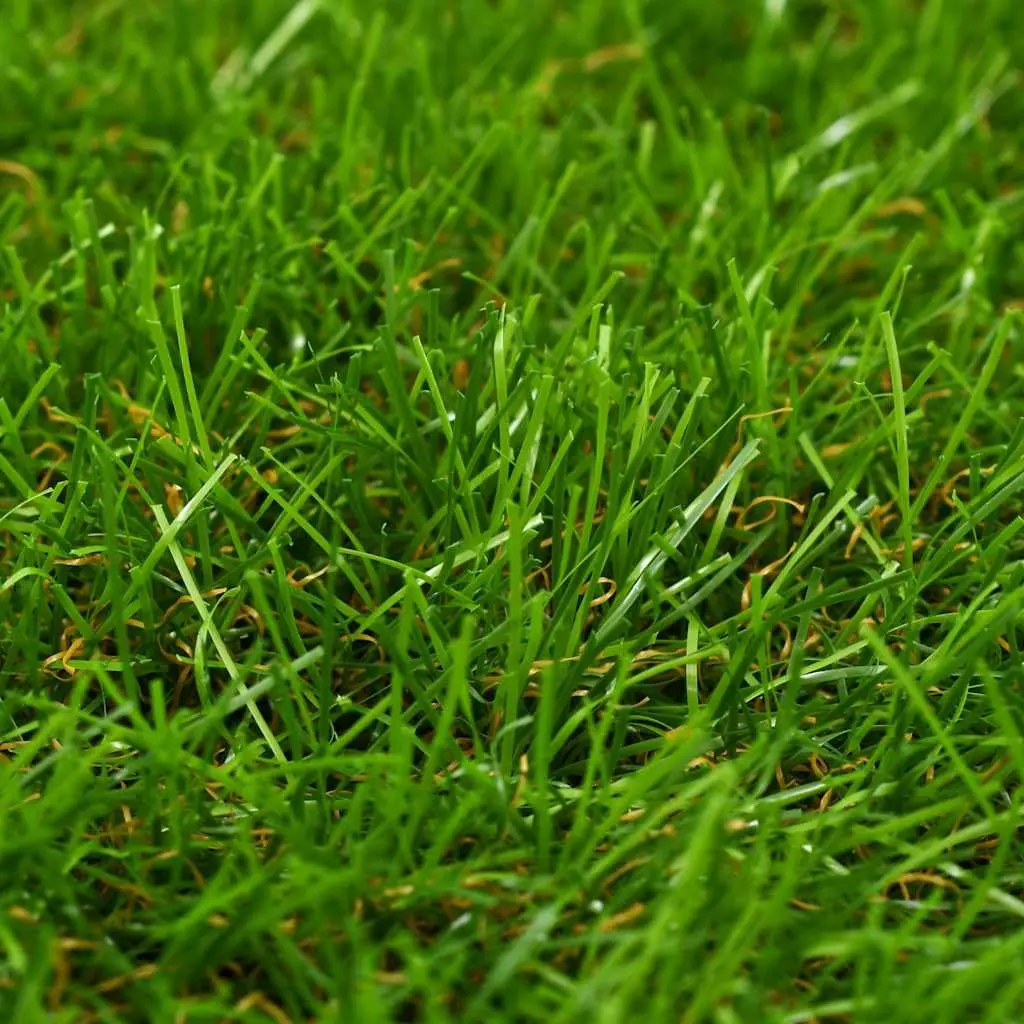Artificial Grass Turf Mat Green 1x10m 40mm Thick Dense Pile Construction