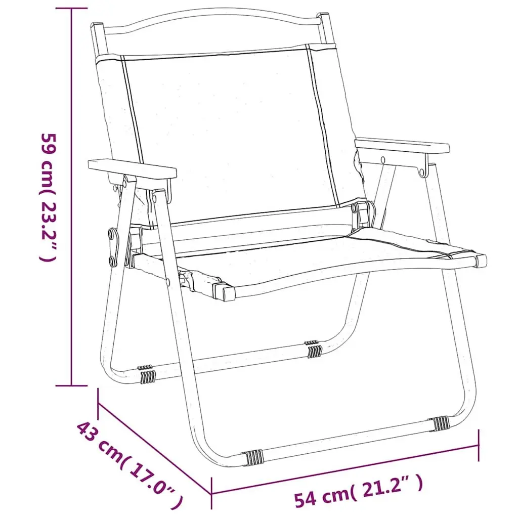 Black Folding Camping Chairs, 2 Included