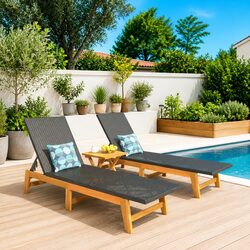 Adjustable 2 Piece Sun Lounger Set in Black