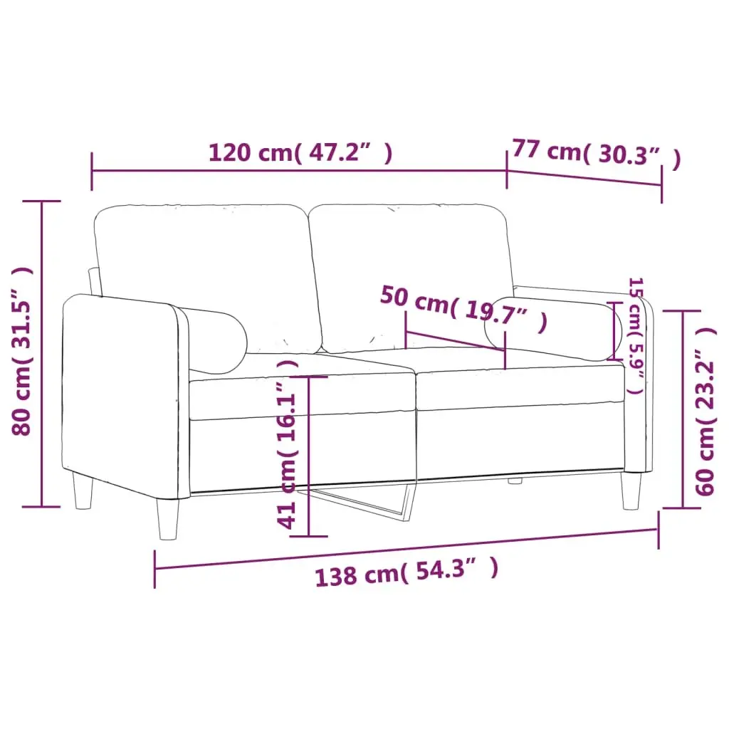 2-Seater Sofa Light Grey Velvet Modern Couch with Throw Pillows