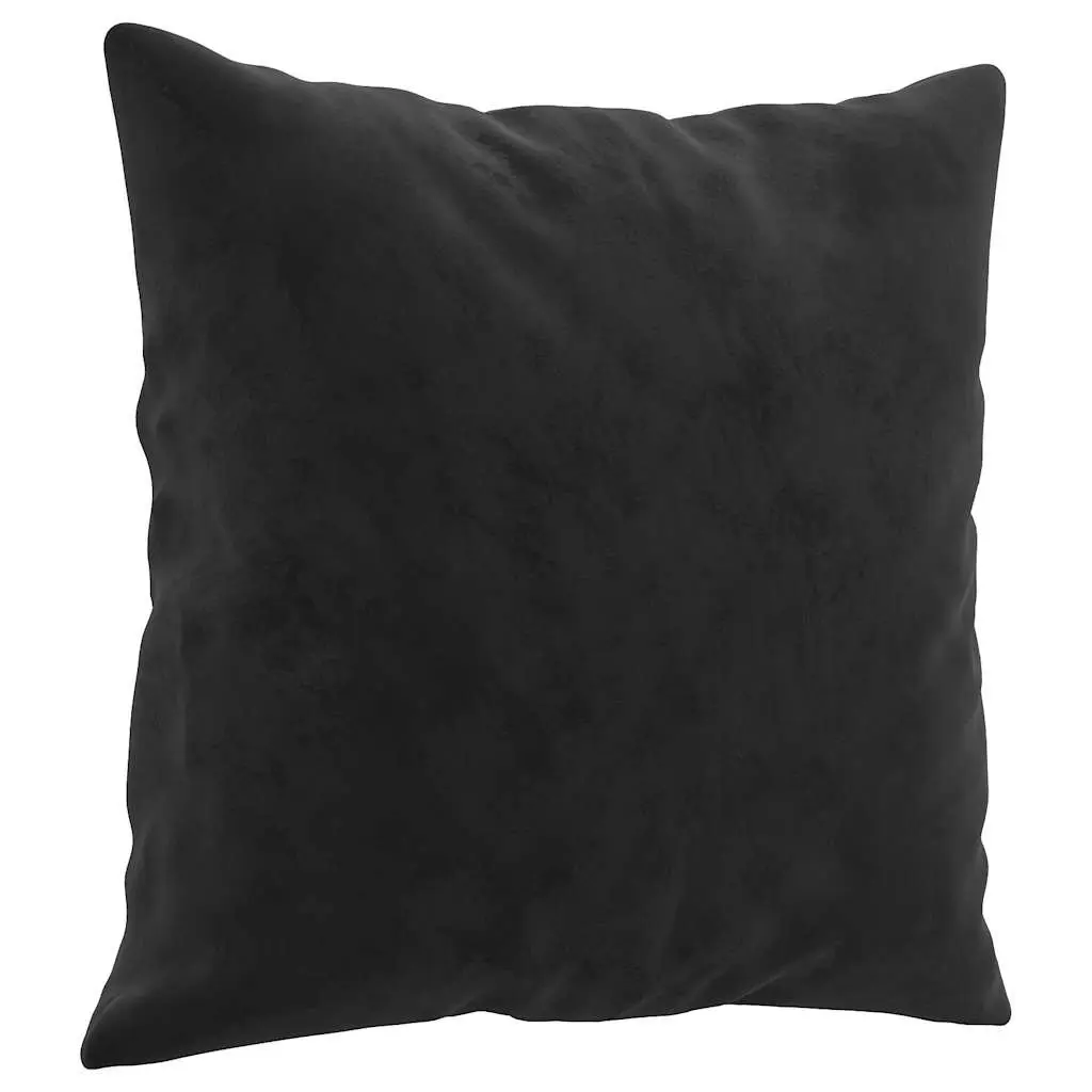 2-Seater Sofa Black Velvet 120cm Modern Lounge Couch with Throw Pillows
