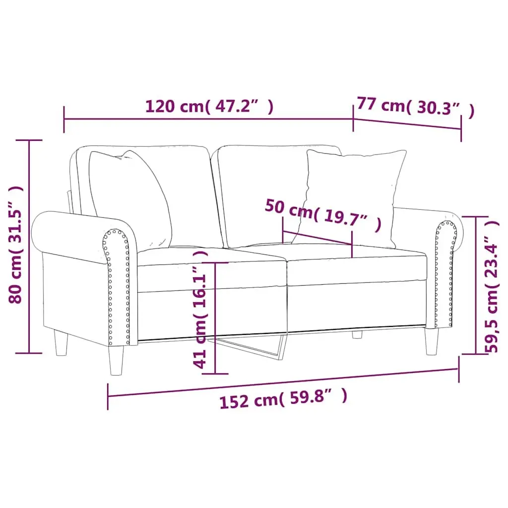 2-Seater Sofa Black Velvet 120cm Modern Lounge Couch with Throw Pillows