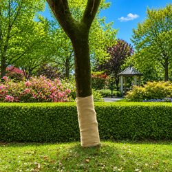 Natural Jute Rolls - 2 pcs, Perfect for Your Next Project