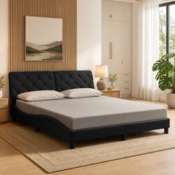 Concise Queen Bed Frame with LED Lights