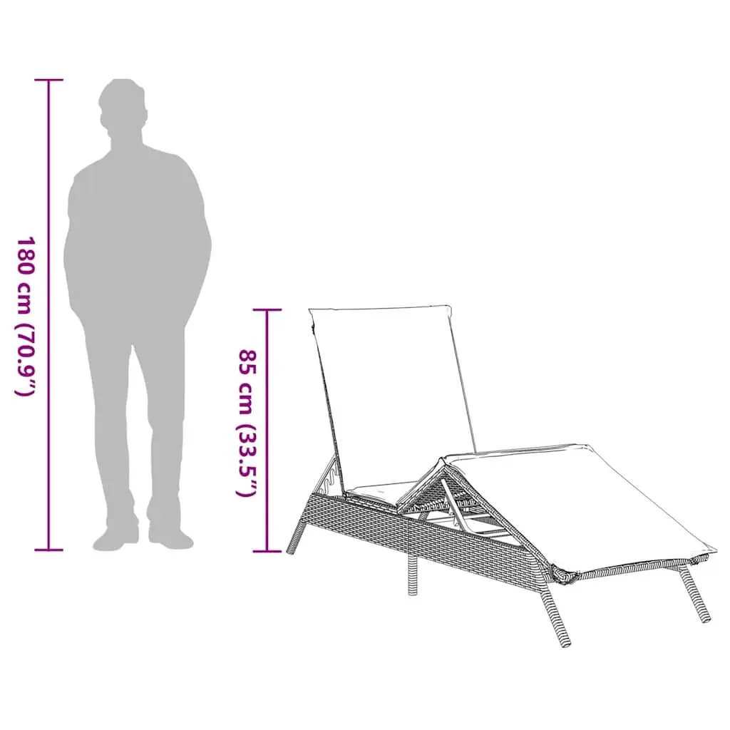 Sun Loungers Black 2 pcs Adjustable Backrest and Footrest with Thick Cushions Outdoor Garden Furniture