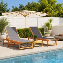Compact and Effective 2 pcs Adjustable Sun Loungers