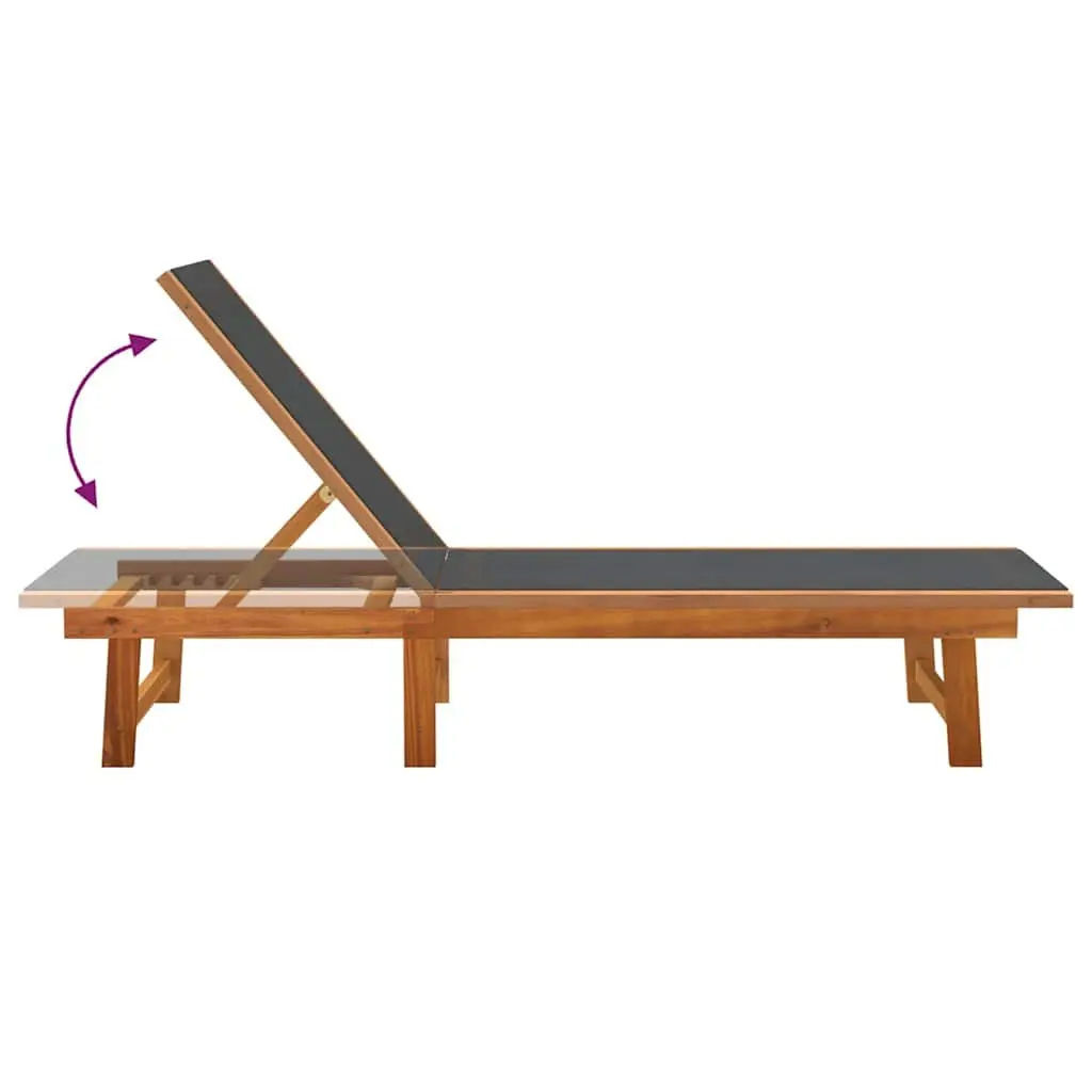 Sun Loungers 2 pcs Adjustable Backrest Outdoor Lounge Chair Patio Garden Pool