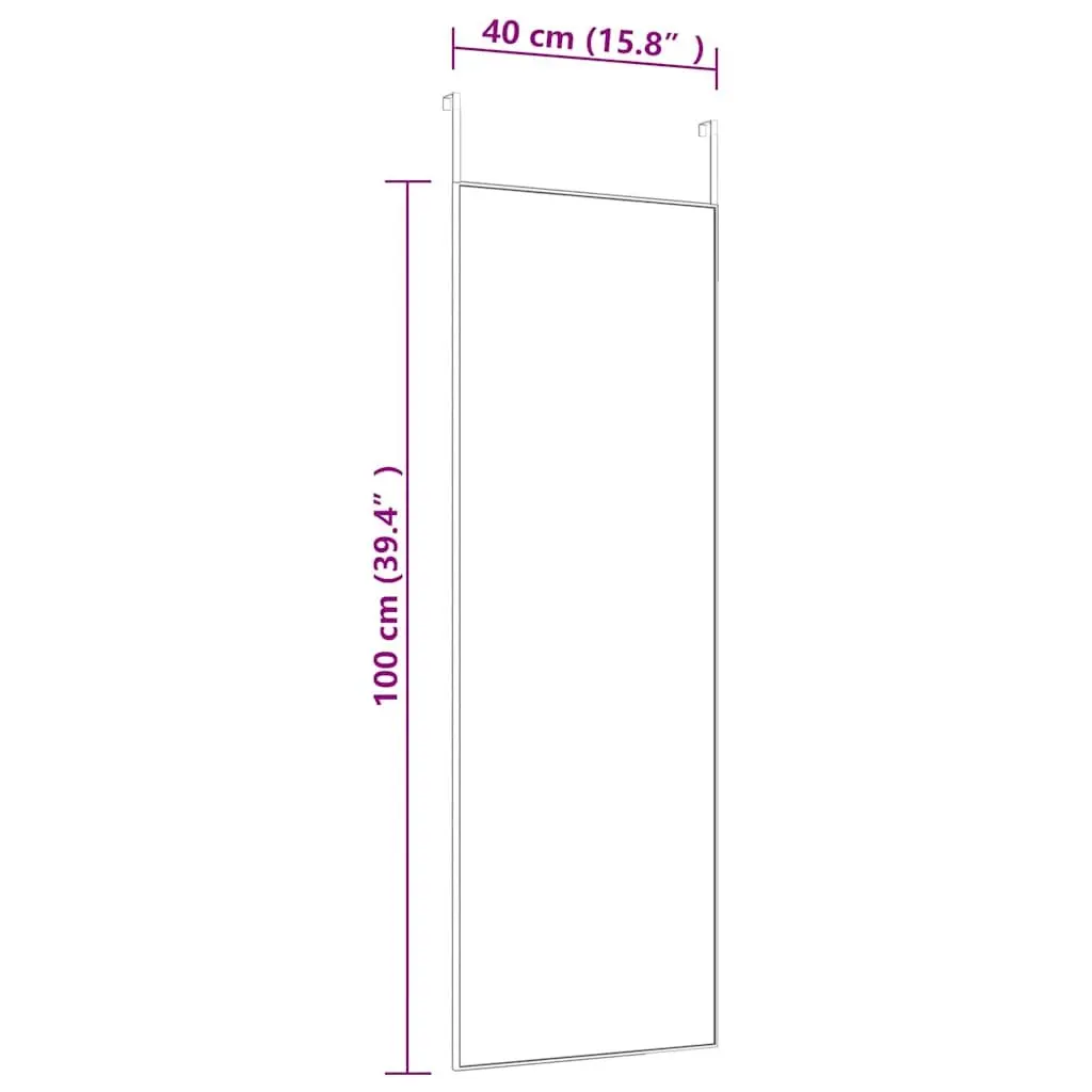 Door Mirror Black 40x100cm Wall Mounted Dressing Glass Aluminium Frame