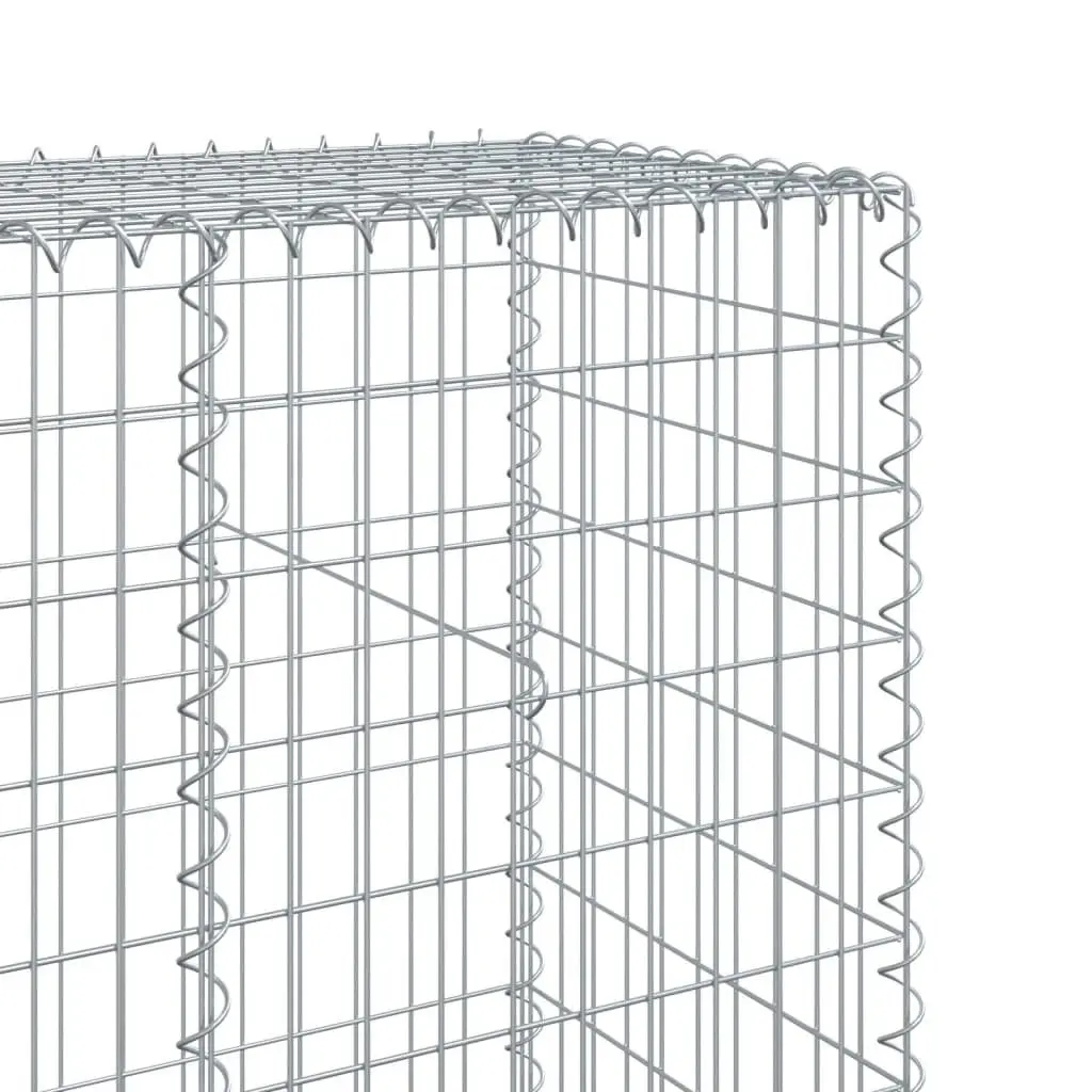 Gabion Basket Silver 1100x50x200 cm Galvanised Iron Wire Tool-Free Assembly