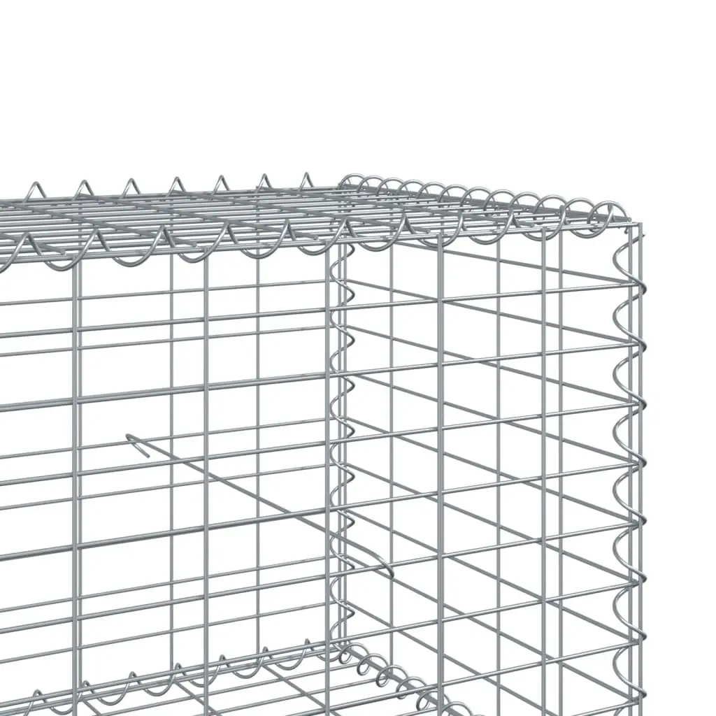 Gabion Basket Silver 800x100x50 cm Metal Wire Garden Retaining Wall with Cover