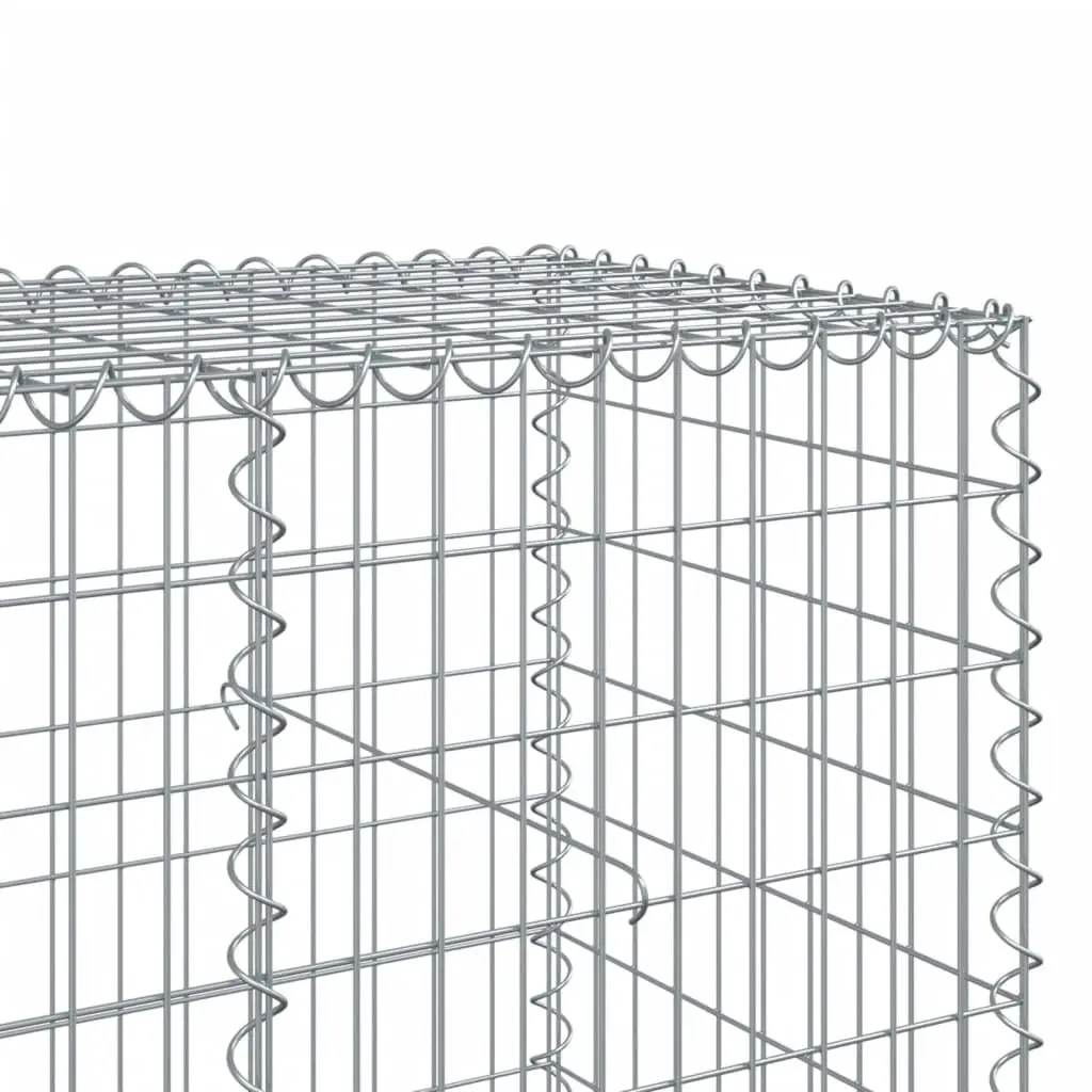 Gabion Basket Silver 200x100x100 cm Galvanised Iron Wire Durable Garden Cage