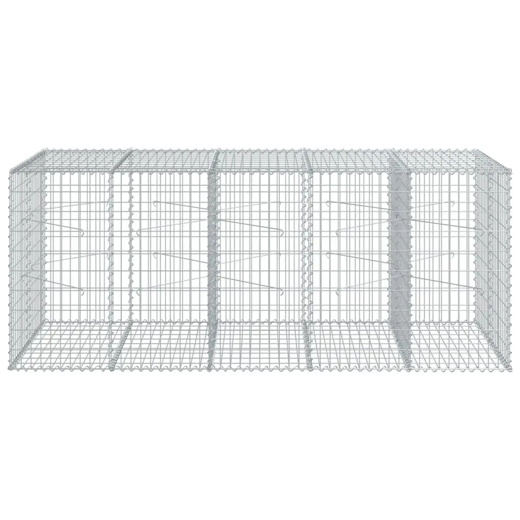 Gabion Basket Silver 250x100x100 cm Galvanised Iron Wire Durable Garden Retaining Structure