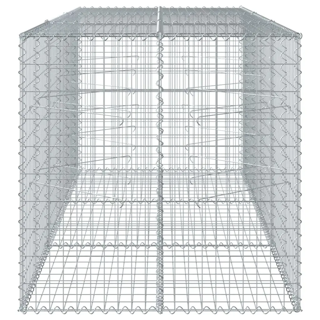 Gabion Basket Silver 300x100x100 cm Galvanised Iron Wire for Garden Retaining Wall Decorative Cage