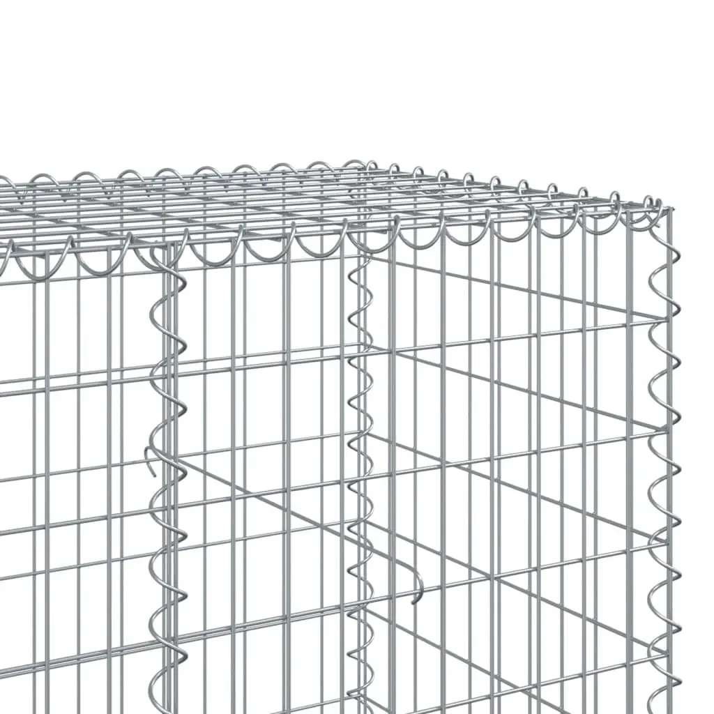 Gabion Basket Silver 800x100x100 cm Galvanised Iron Wire Cage with Cover