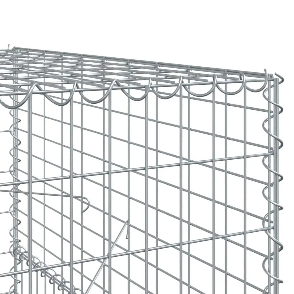 Gabion Basket Silver 1000x100x150 cm Galvanised Iron Wire for Garden Landscaping