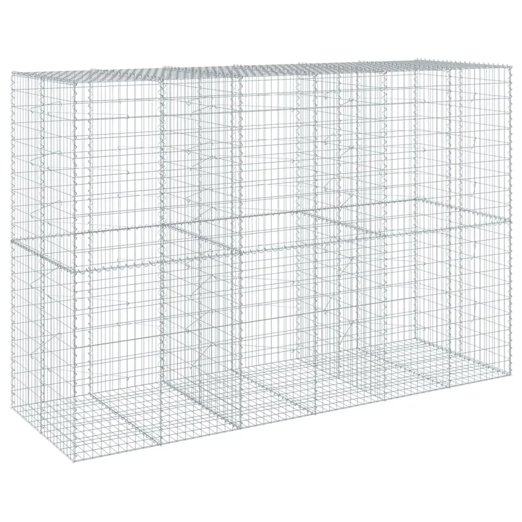 Gabion Basket Silver 300x100x200 cm Galvanised Iron Wire Garden Planter with Cover