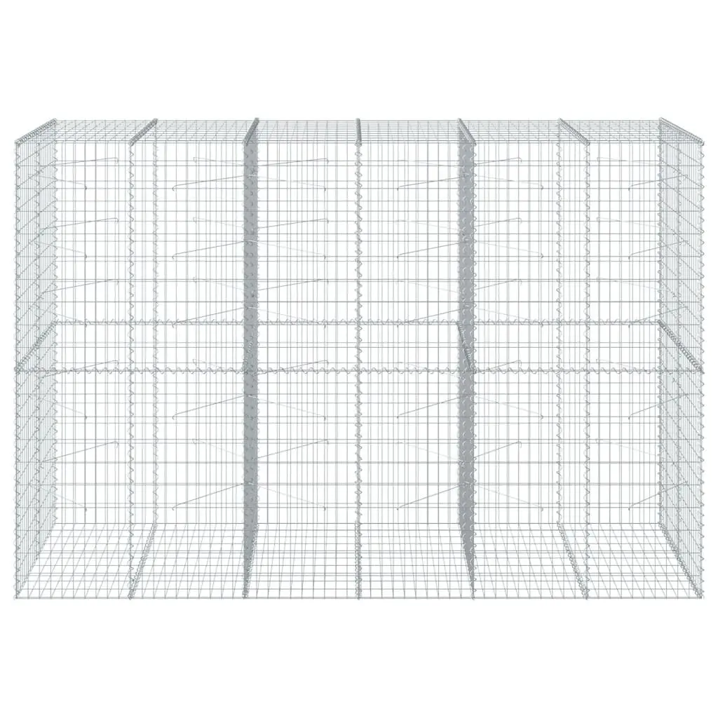 Gabion Basket Silver 300x100x200 cm Galvanised Iron Wire Garden Planter with Cover