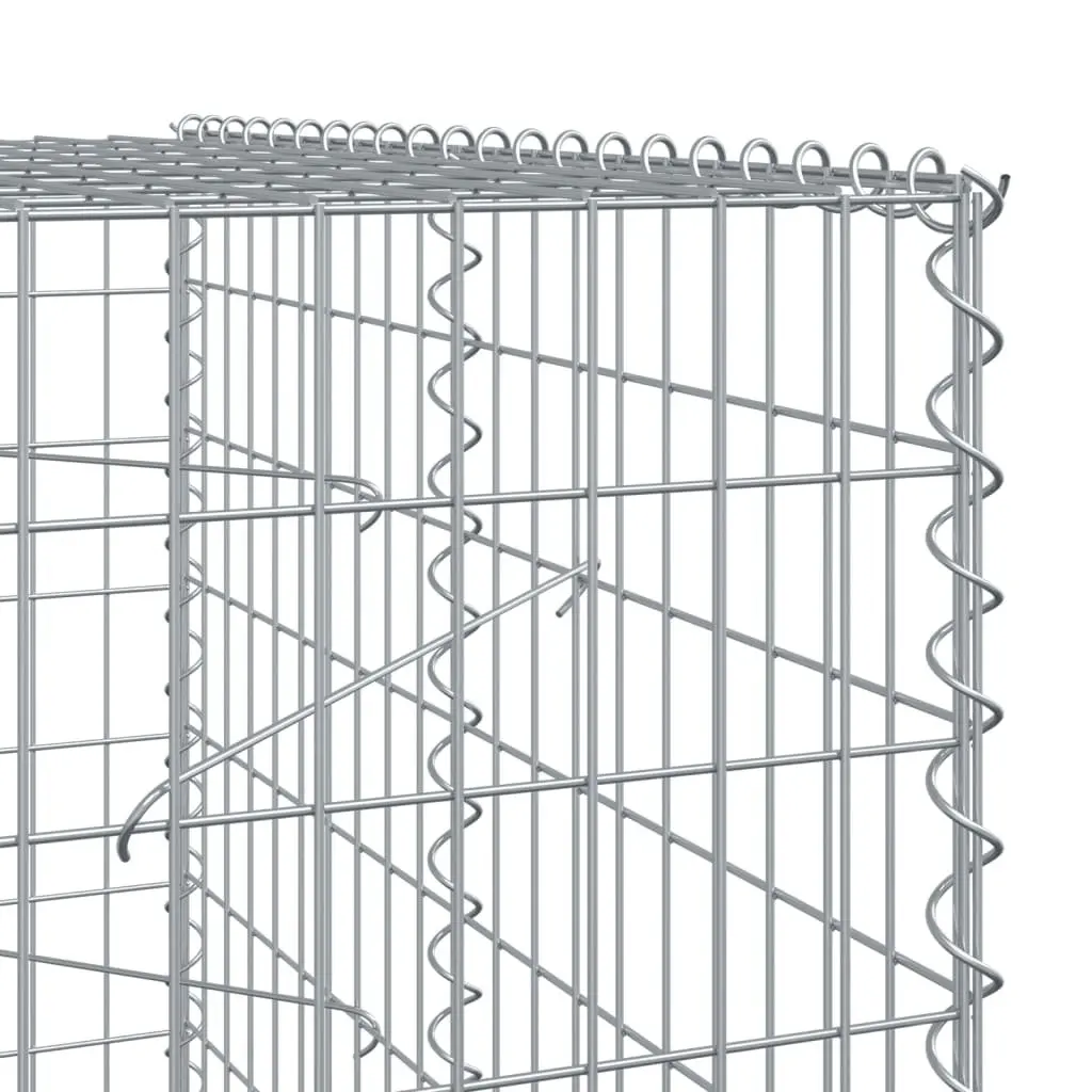 Gabion Basket Silver 300x100x200 cm Galvanised Iron Wire Garden Planter with Cover