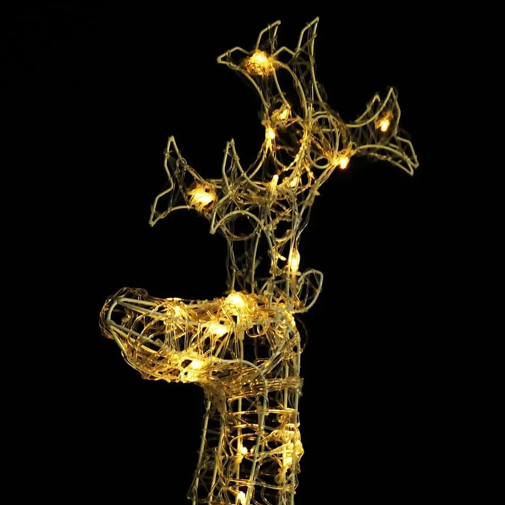 Standing Reindeer Christmas Decoration Warm White 60 x 16 x 100 cm Pre-lit with 90 LED Lights Acrylic Outdoor