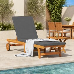 Concise Description of Outdoor Sun Lounger Set