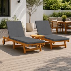 Sleek and Functional: Adjustable Sun Lounger for Two