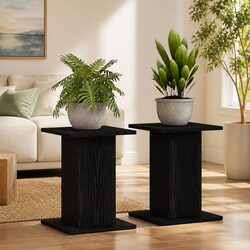 Stylish Black 30x30x40cm Plant Stand Set of 2