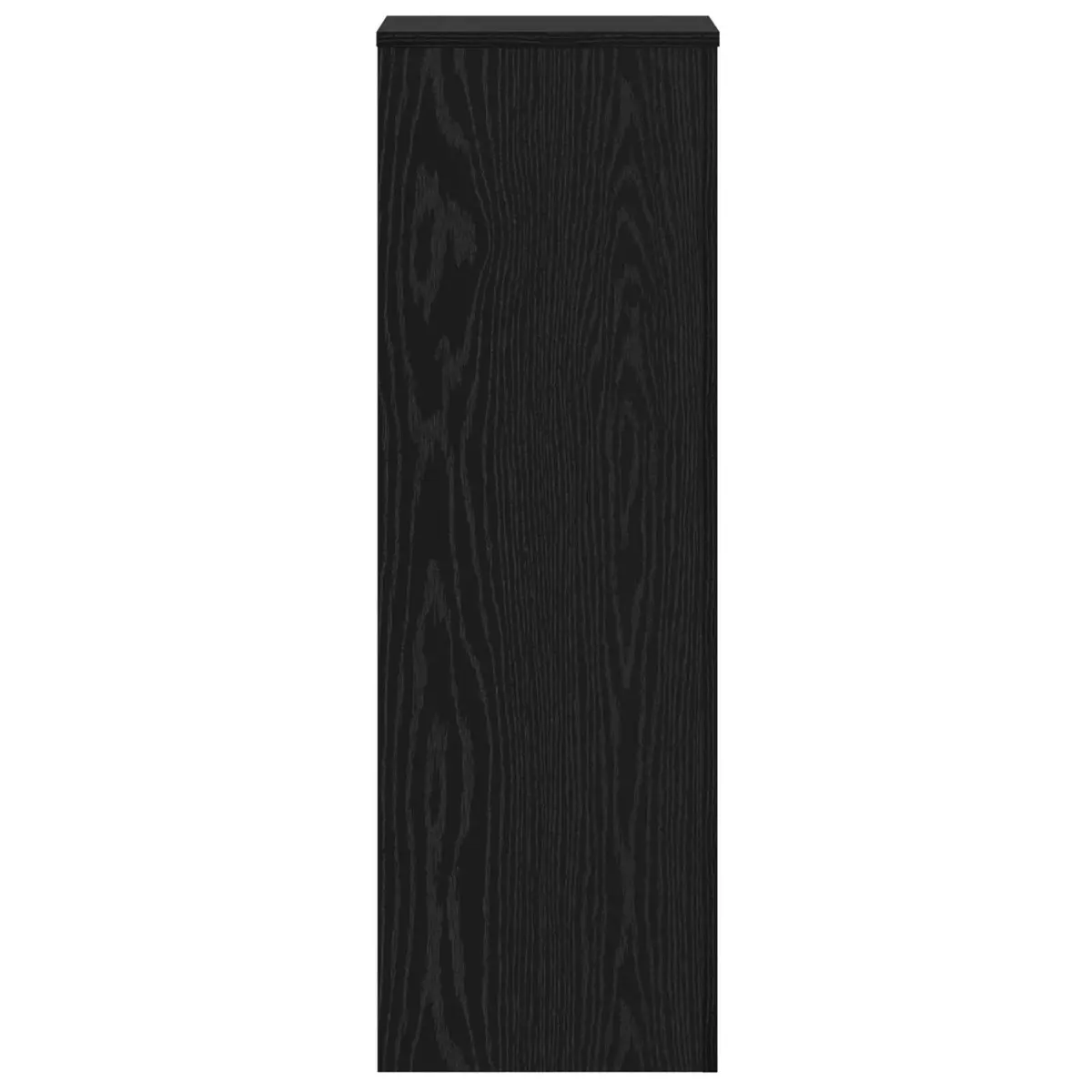 Plant Stand Black 33 x 33 x 100 cm Set of 2 Indoor Outdoor Garden Display