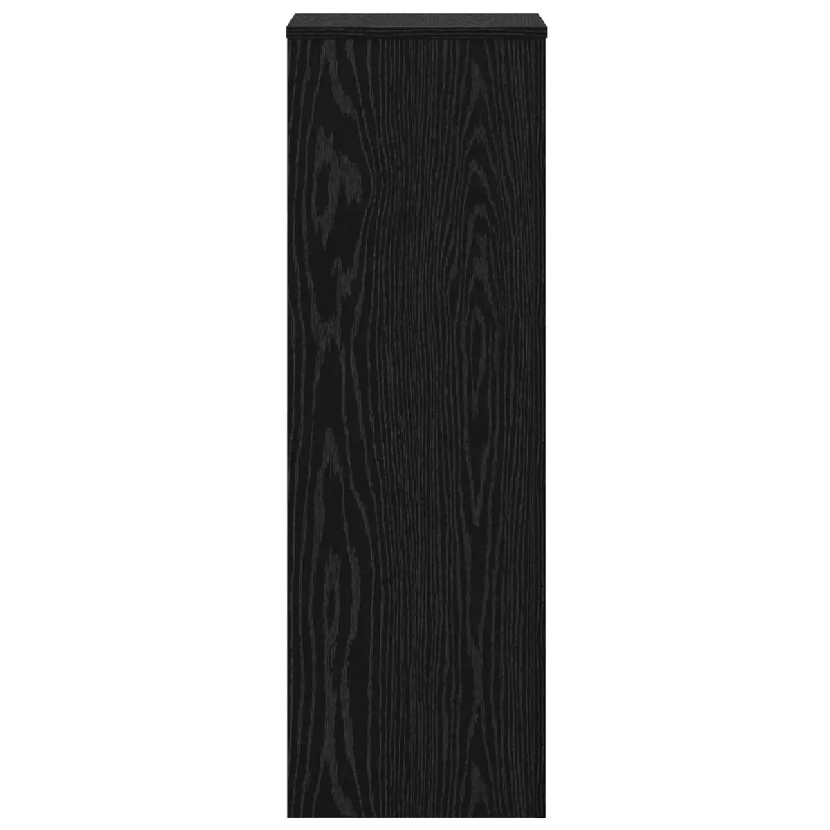 Plant Stand Black 33 x 33 x 100 cm Set of 2 Indoor Outdoor Garden Display