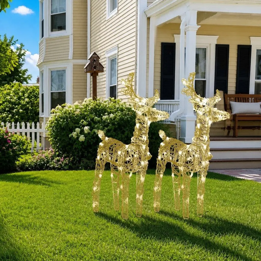 Christmas Reindeer LED Lights Warm White 2 Piece Outdoor Yard Decoration