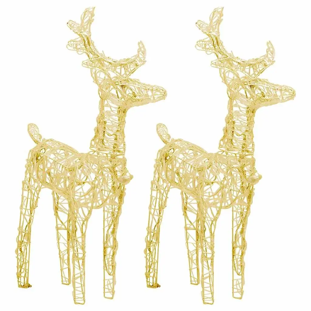 Christmas Reindeer LED Lights Warm White 2 Piece Outdoor Yard Decoration