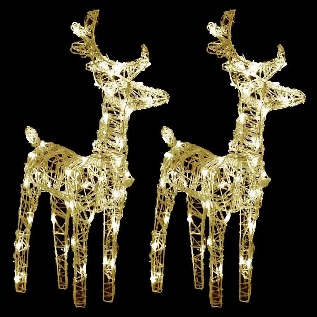 Christmas Reindeer LED Lights Warm White 2 Piece Outdoor Yard Decoration