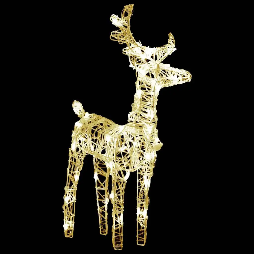 Christmas Reindeer LED Lights Warm White 2 Piece Outdoor Yard Decoration