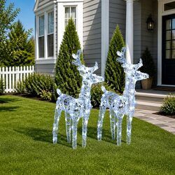 Compact 2pc Outdoor Christmas Reindeer LED Lights Set